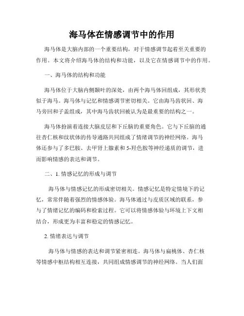 海马体在情感调节中的作用