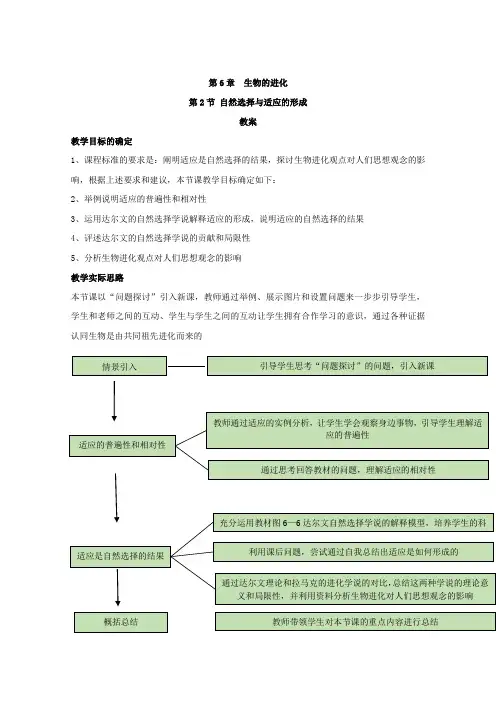 2021年高中生物新教材人教版(2019)必修二教案：第6章 第2节 自然选择与适应的形成 