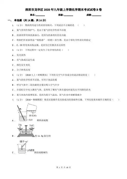 深圳市龙华区2020年九年级上学期化学期末考试试卷B卷