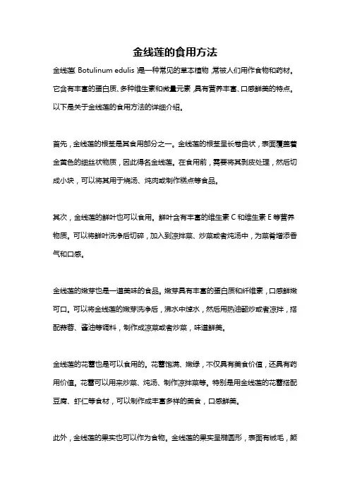 金线莲的食用方法