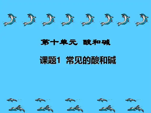 人教版初中化学九下10.1 常见的酸和碱 课件  _2PPT