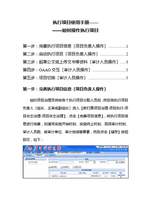 执行项目使用手册——