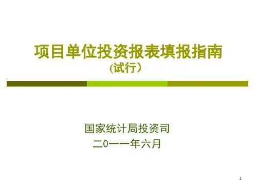 项目单位填报指南