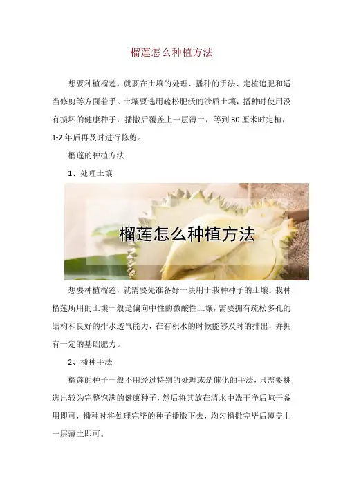 榴莲怎么种植方法