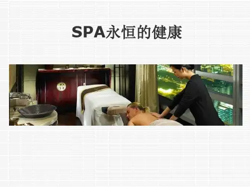 SPA简介(ppt_22)