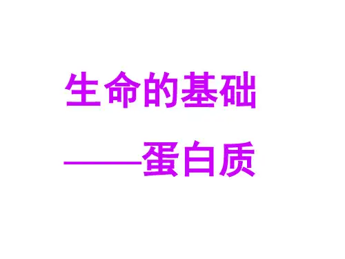 生命的基础蛋白质