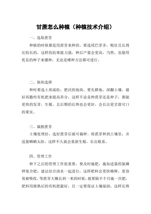 甘蔗怎么种植(种植技术介绍)