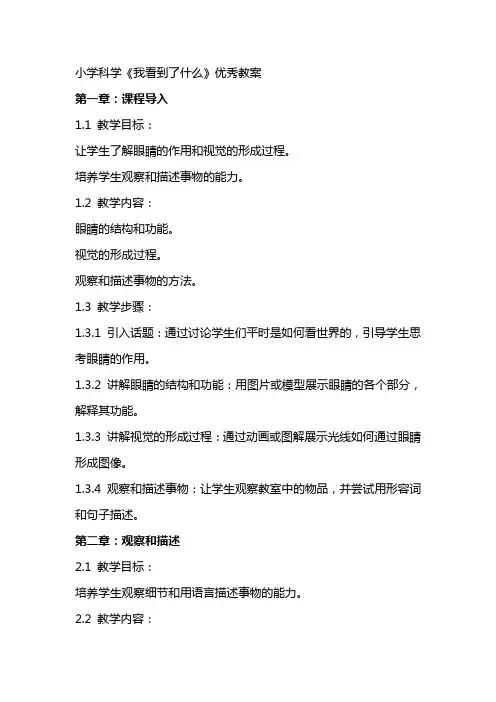 小学科学《我看到了什么》教案
