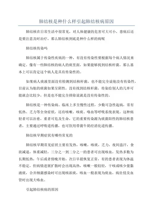 肺结核是种什么样引起肺结核病原因