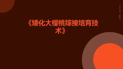 矮化大樱桃嫁接培育技术