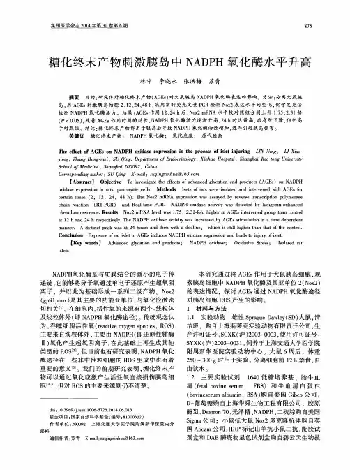 糖化终末产物刺激胰岛中NADPH氧化酶水平升高