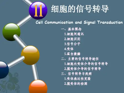 细胞生物学课件PDF 细胞信号转导