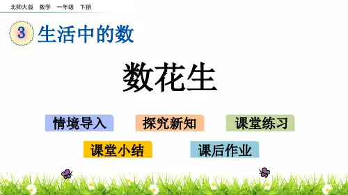北师大版一年级数学下册《数花生》教学课件
