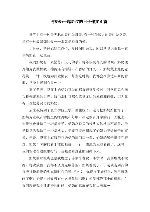 与奶奶一起走过的日子作文6篇精编