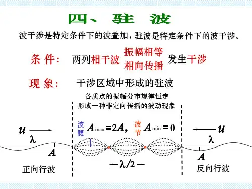 驻波_精品文档
