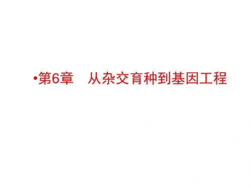 高考生物一轮复习配套课件：必修二第6章 从杂交育种到基因工程