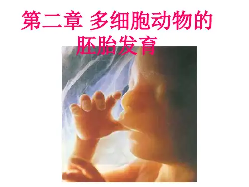 动物学资料 多细胞动物的胚胎发育