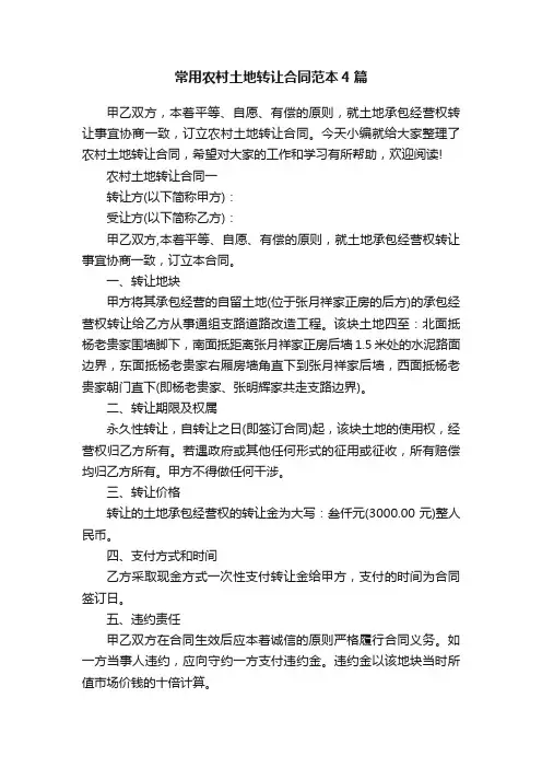 常用农村土地转让合同范本4篇
