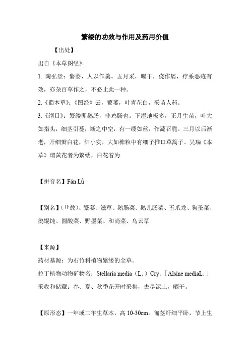 繁缕的功效与作用及药用价值