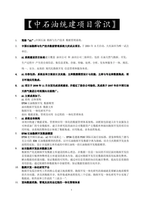 中石油统建项目常识