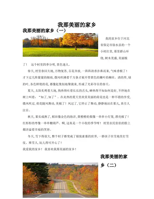我那美丽的家乡(共10篇)