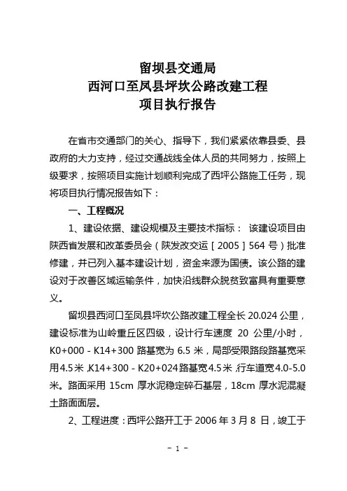 项目项目执行情况总结