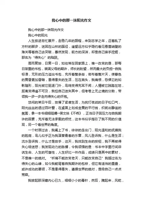 我心中的那一抹阳光作文
