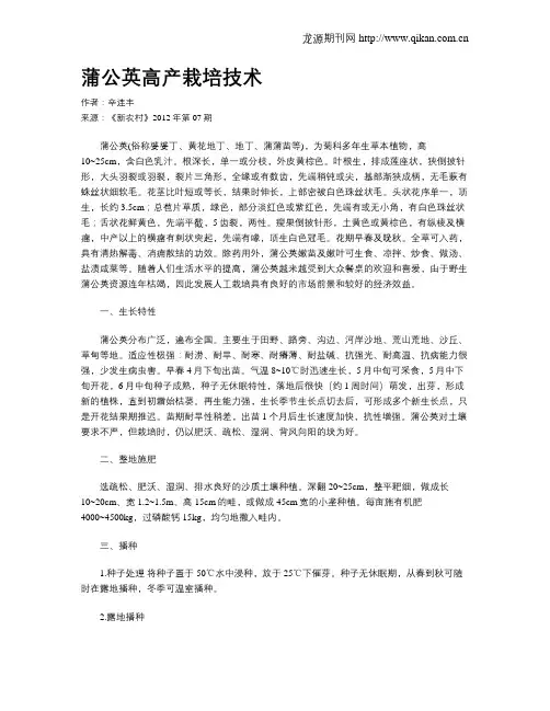 蒲公英高产栽培技术