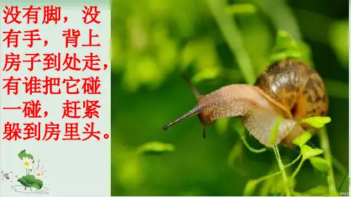(部编版)小学语文一级上册《小蜗牛》PPT精选课件