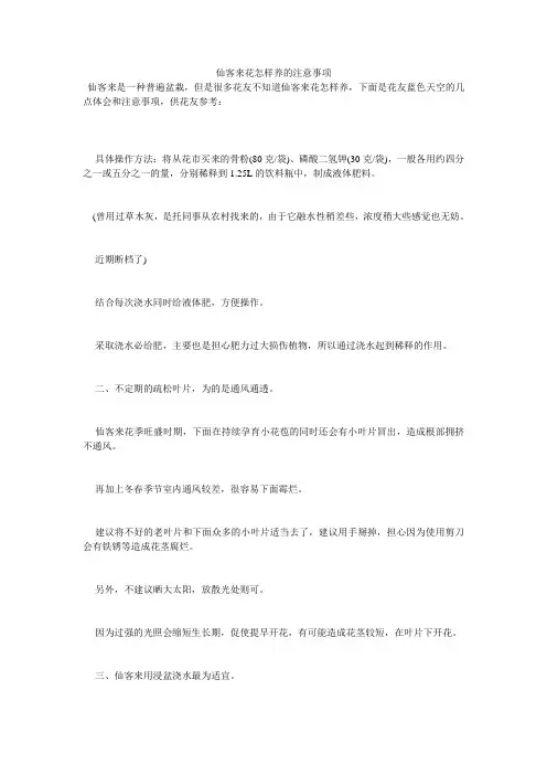仙客来花怎样养的注意事项