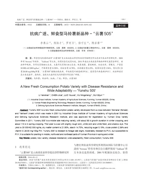 抗病广适、鲜食型马铃薯新品种-‘云薯505’