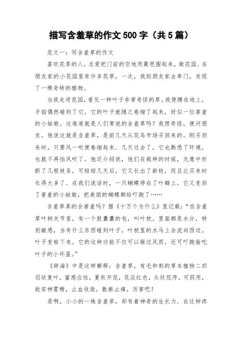 描写含羞草的作文500字(共5篇)_作文