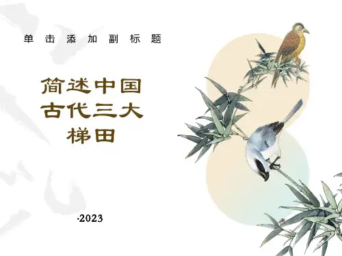 简述中国古代三大梯田
