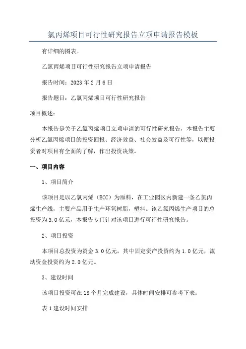 氯丙烯项目可行性研究报告立项申请报告模板