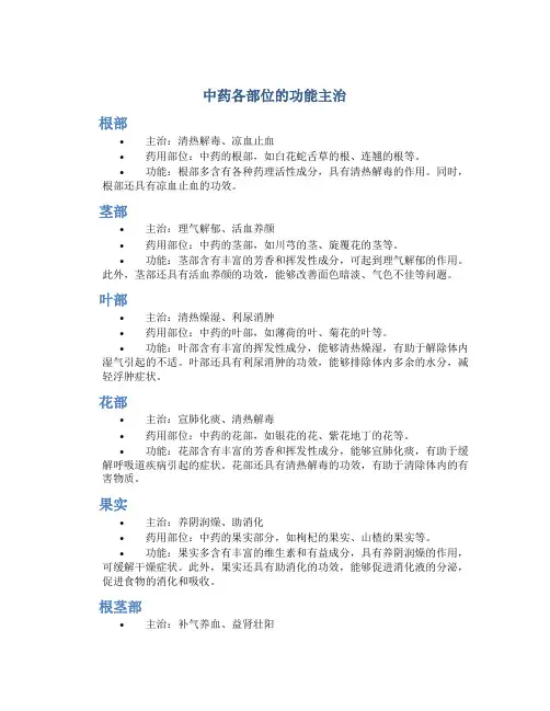 中药各部位的功能主治