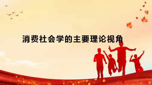 消费社会学的主要理论视角