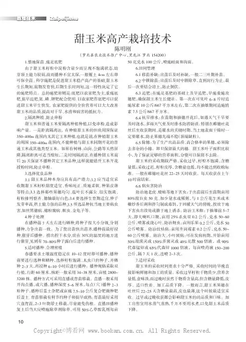 甜玉米高产栽培技术