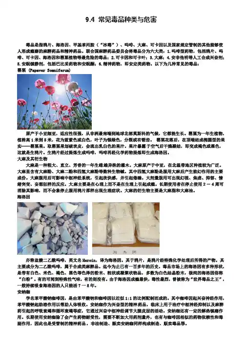 【粤教版】九年级化学下册：9.4《常见毒品种类与危害》教学素材