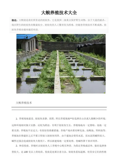 大鲵养殖技术大全