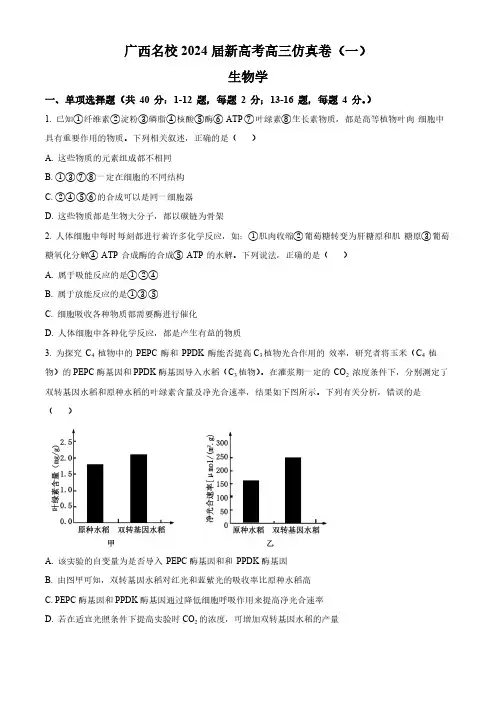 2024届广西名校高三上学期新高考卷(一)生物试题及答案