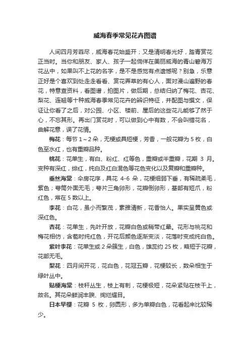 威海春季常见花卉图谱