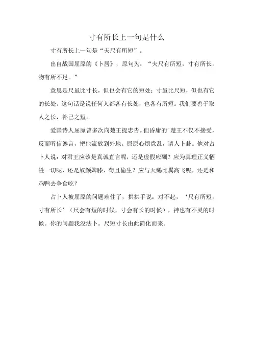 寸有所长上一句是什么