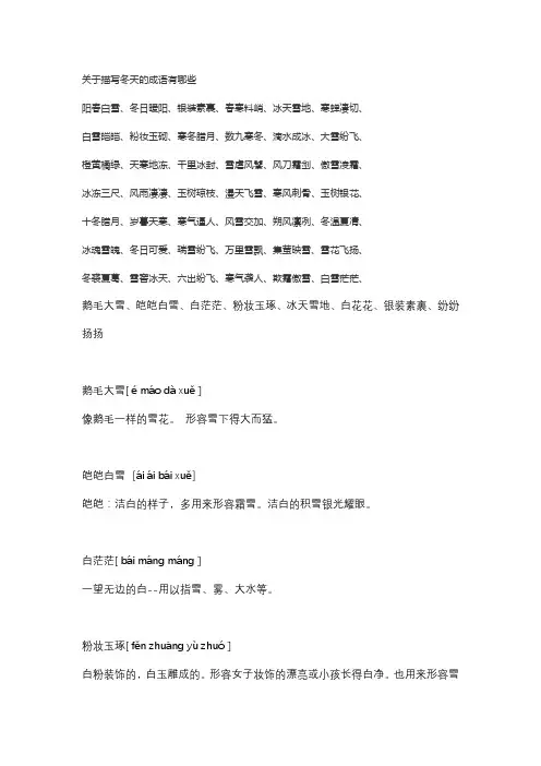 白雪皑皑描写冬天的四字词语