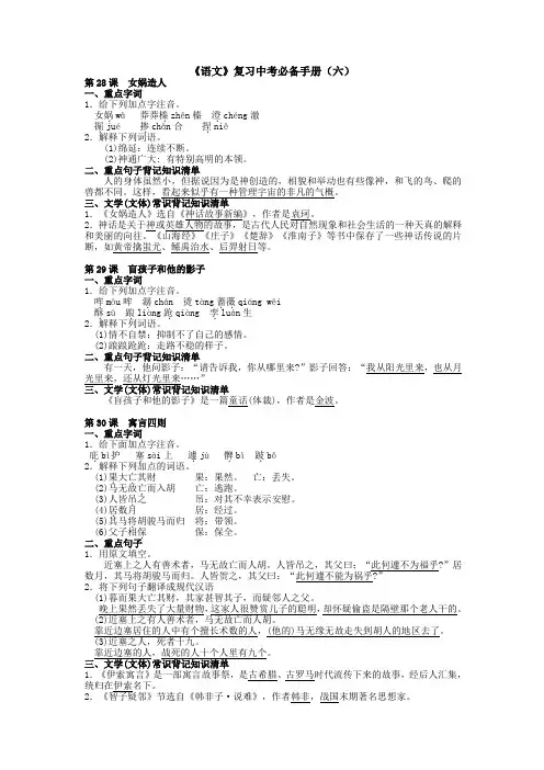 《语文》复习中考必备手册(六) - 副本 - 副本