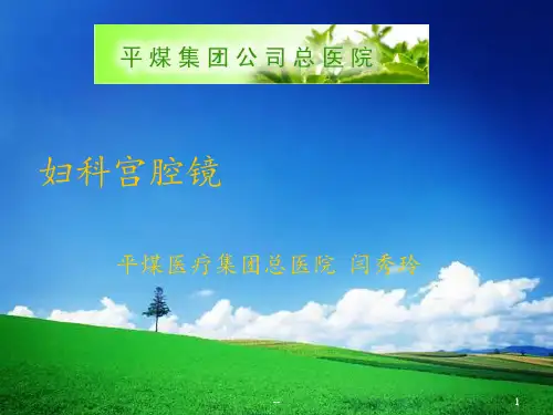 妇科宫腔镜PPT课件