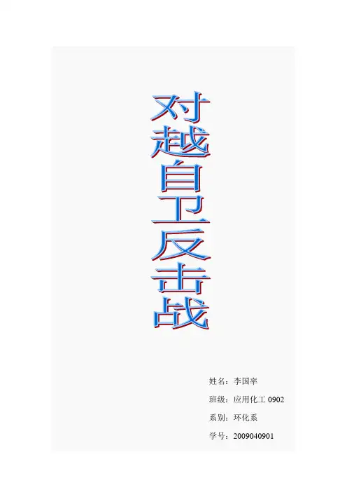 对越自卫反击战