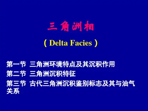 三角洲相分析及简介