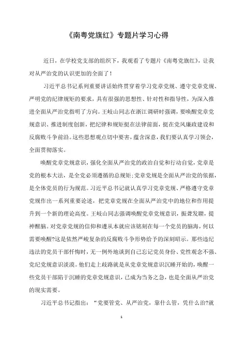 《南粤党旗红》学习心得