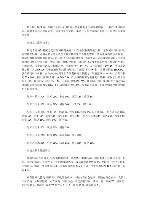 肉鸽人工灌喂技术3篇汇总