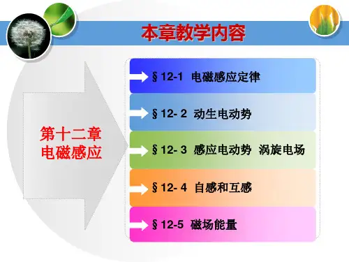 大学物理电磁学电磁感应